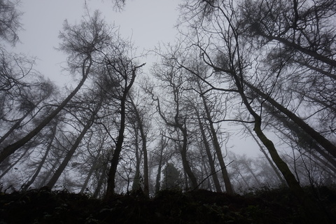 Leaked krislilli header onlyfans leaked