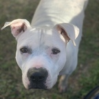 Leaked kristina15 onlyfans leaked