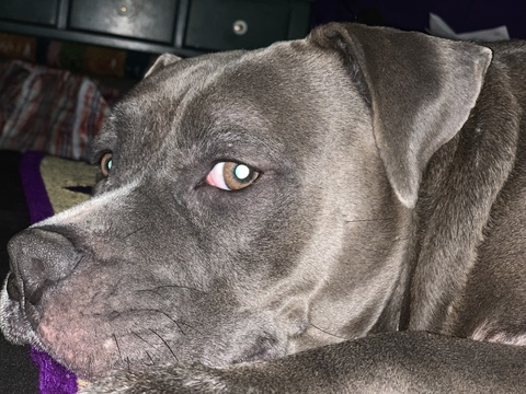 Leaked kristina15 header onlyfans leaked