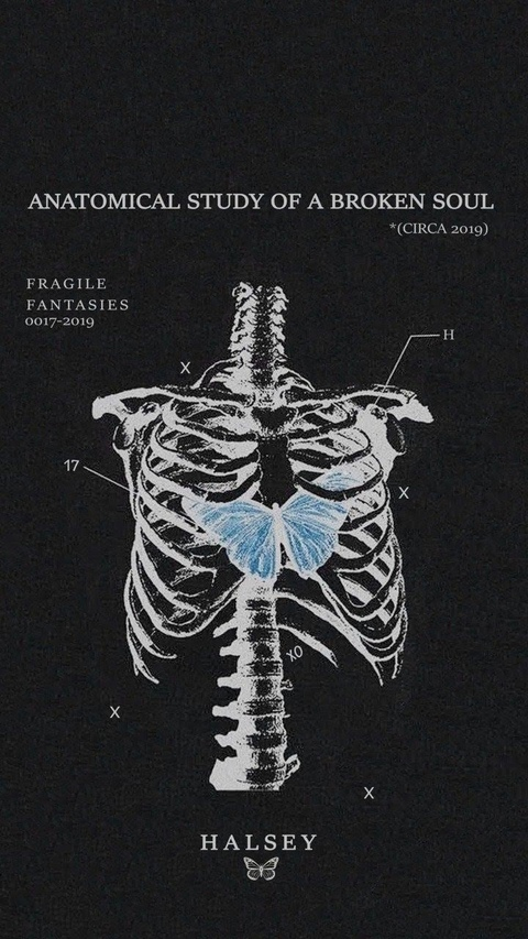 Leaked kvailas header onlyfans leaked