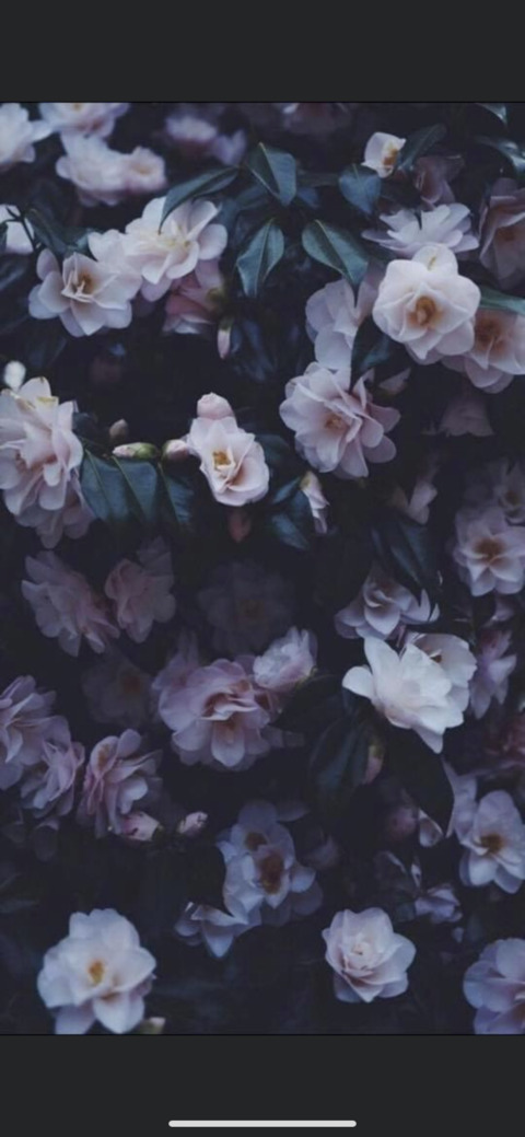 Leaked l0vexx header onlyfans leaked