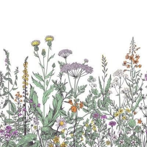 Leaked l4n4love header onlyfans leaked