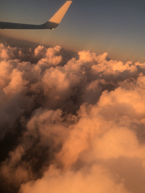 Leaked laconejaamalaa header onlyfans leaked