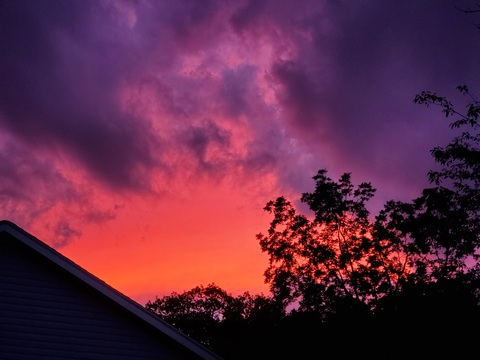 Leaked lavnderhoney header onlyfans leaked