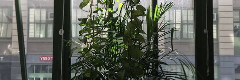 Leaked leftwingssoar header onlyfans leaked