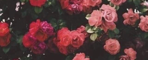 Leaked lelechircc header onlyfans leaked