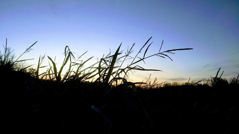 Leaked leruefiona header onlyfans leaked