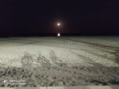 Leaked lexiesol21 header onlyfans leaked