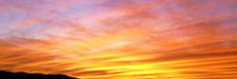 Leaked lexusdushek header onlyfans leaked