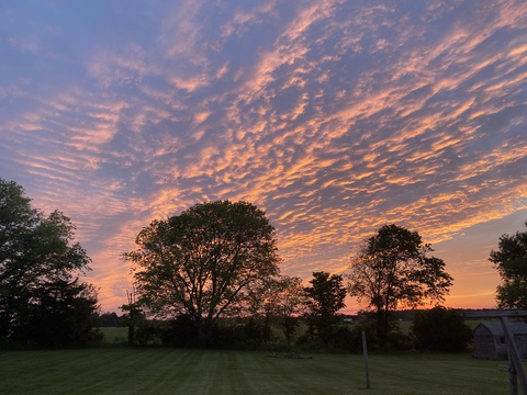 Leaked lexxxy00 header onlyfans leaked