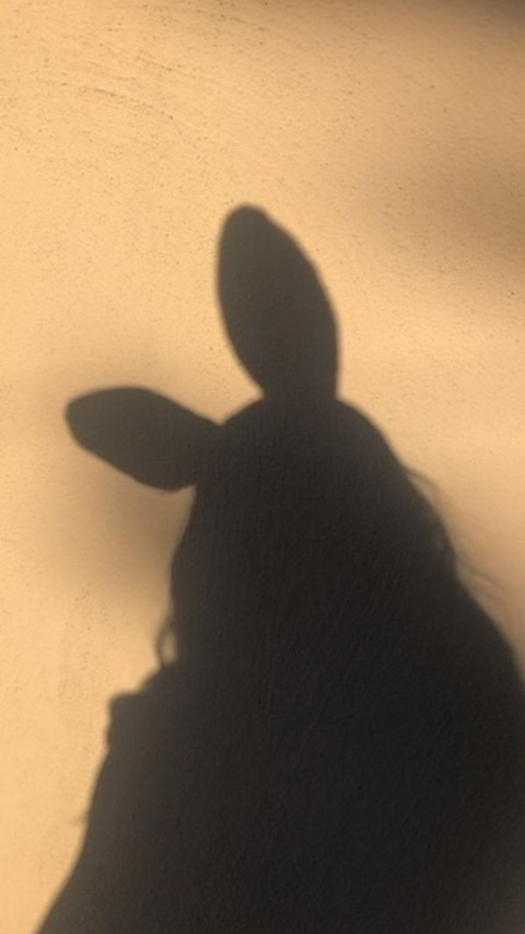 Leaked leyla_roseofficial header onlyfans leaked