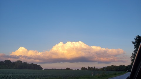 Leaked lil_b_sub header onlyfans leaked