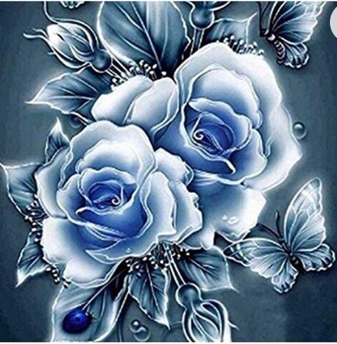 Leaked lil_kitten2022 header onlyfans leaked