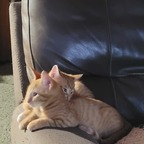 Leaked lilalove420 onlyfans leaked