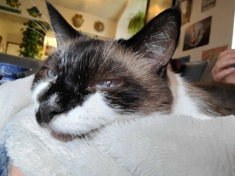 Leaked lilalove420 header onlyfans leaked