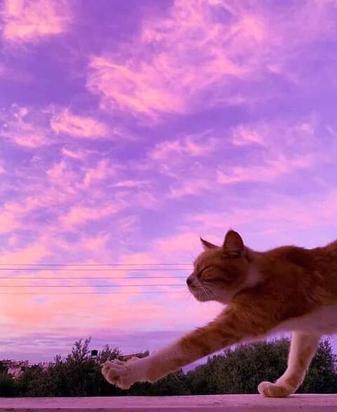 Leaked lillianhexen header onlyfans leaked