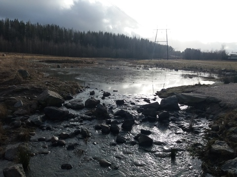 Leaked lilpublican header onlyfans leaked