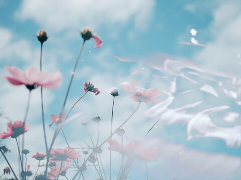 Leaked lilymariemfc header onlyfans leaked