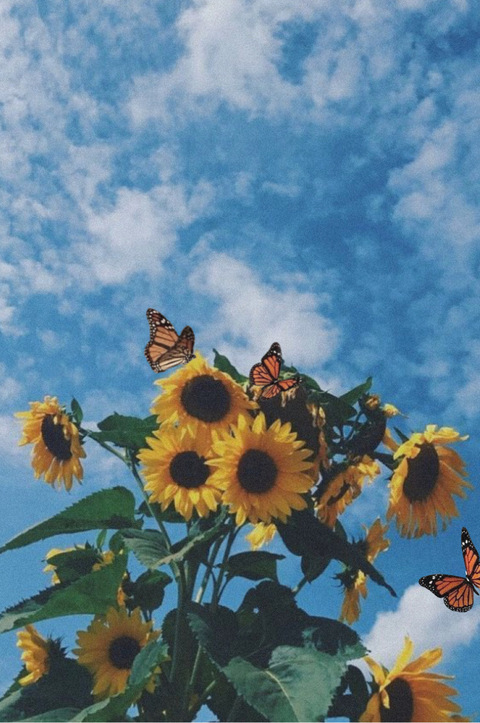 Leaked lin_liin header onlyfans leaked