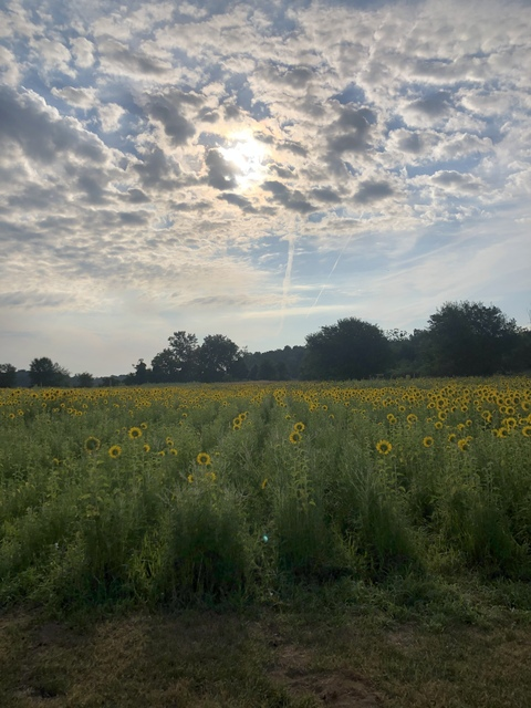 Leaked lindsaynl header onlyfans leaked