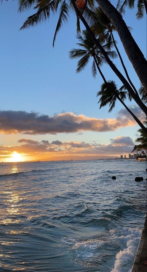 Leaked lisawo header onlyfans leaked