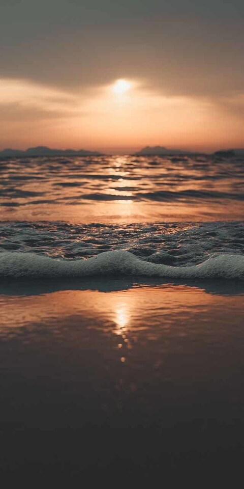 Leaked liscat header onlyfans leaked