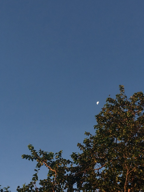 Leaked littledm header onlyfans leaked