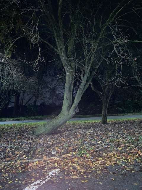 Leaked littlejorja header onlyfans leaked