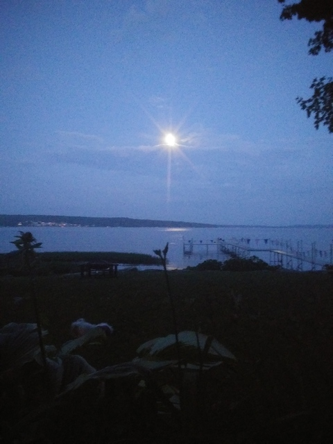 Leaked locabunny header onlyfans leaked