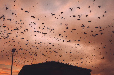 Leaked loivelygirl header onlyfans leaked