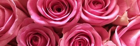 Leaked lolarosesmfc header onlyfans leaked