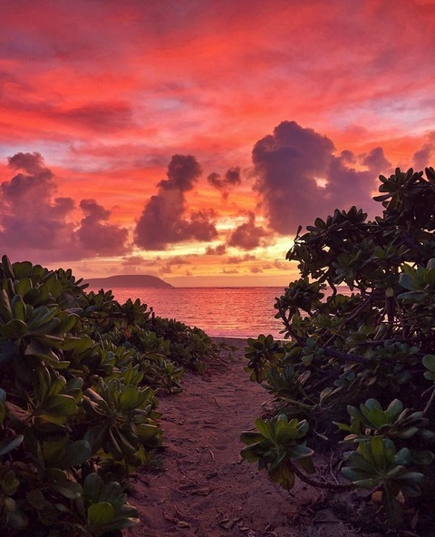 Leaked lolliollie header onlyfans leaked