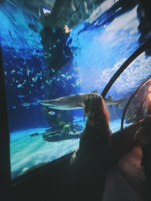 Leaked lolmandz header onlyfans leaked