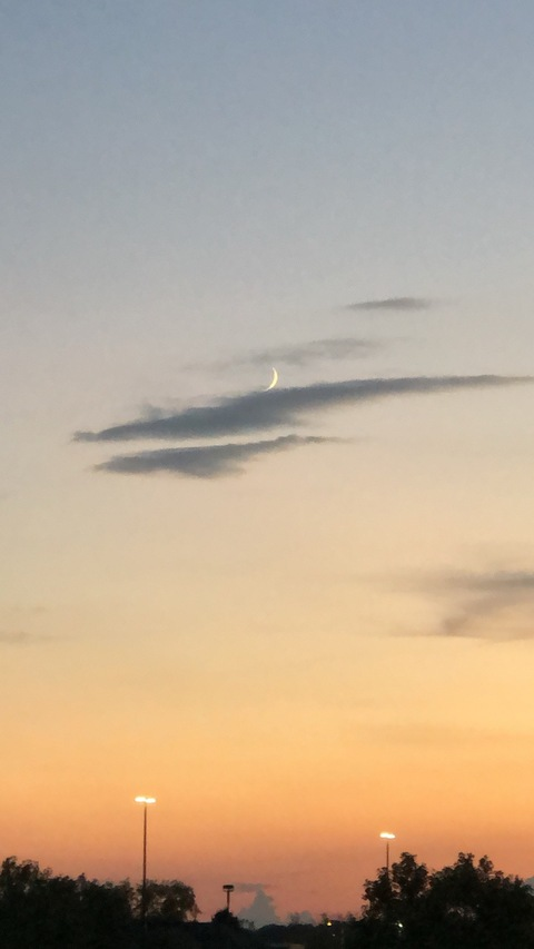 Leaked lonelygirleliza header onlyfans leaked