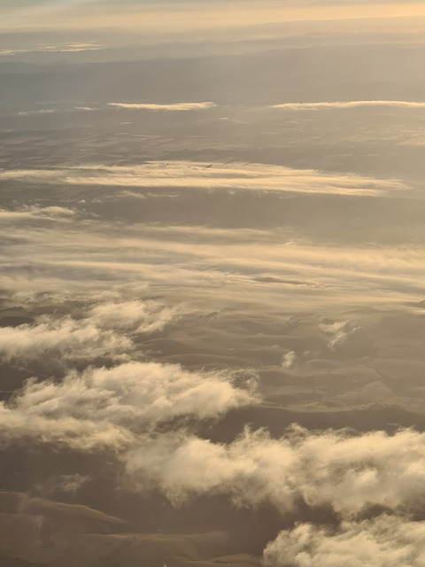 Leaked louiscoleman66 header onlyfans leaked