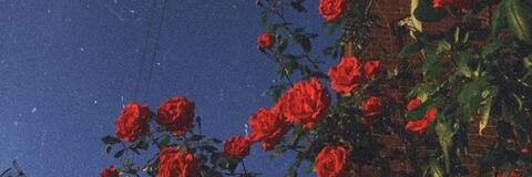 Leaked lovelunar header onlyfans leaked