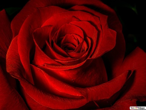 Leaked lovelyfeet_divine header onlyfans leaked