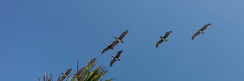 Leaked lr250419 header onlyfans leaked