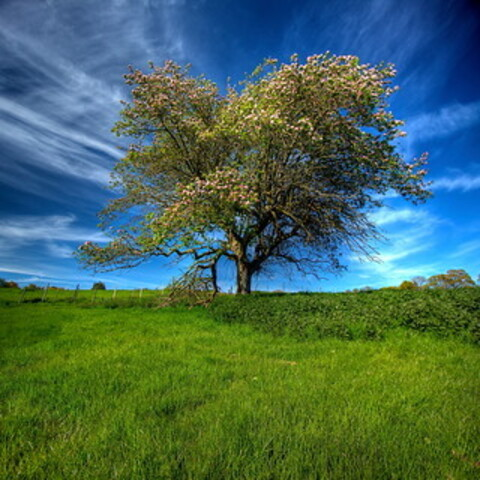 Leaked lucieve header onlyfans leaked