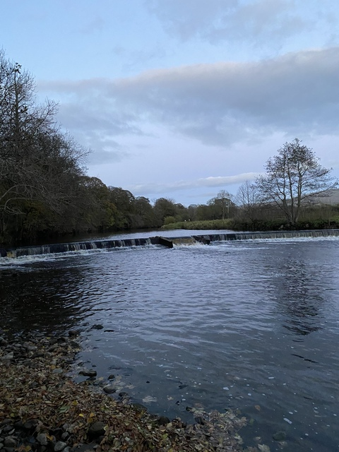 Leaked lumpylemon header onlyfans leaked