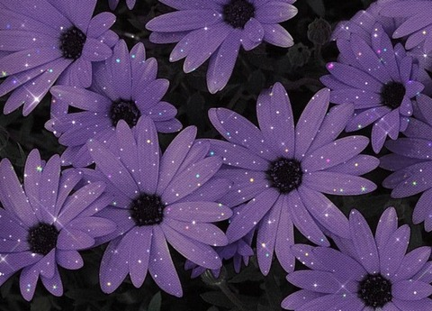 Leaked lunaa1994 header onlyfans leaked