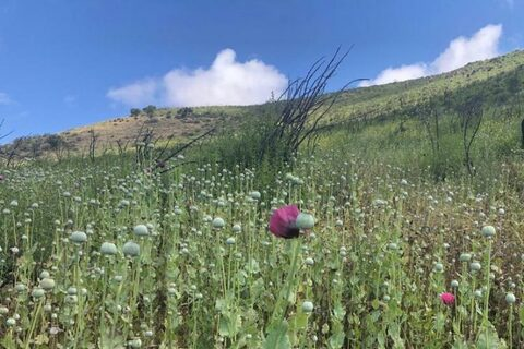 Leaked lusifer666 header onlyfans leaked