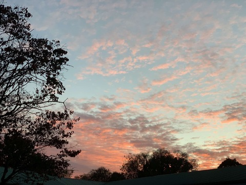 Leaked lynnxoxo423 header onlyfans leaked