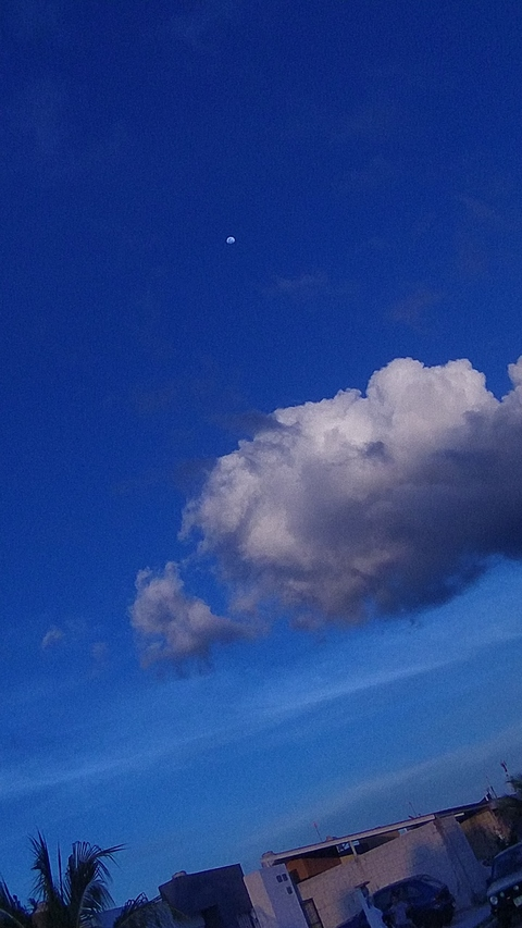 Leaked m_0004.77 header onlyfans leaked