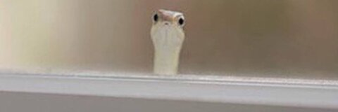 Leaked mackdog568 header onlyfans leaked