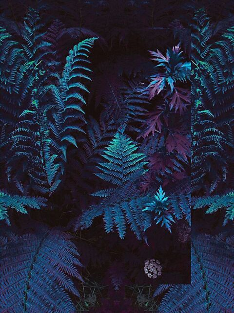 Leaked madelinxindica header onlyfans leaked