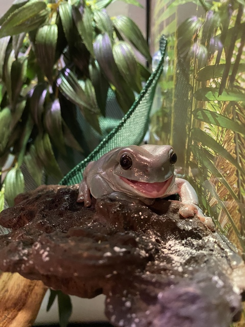 Leaked magg1 header onlyfans leaked