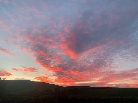 Leaked maisymoox header onlyfans leaked