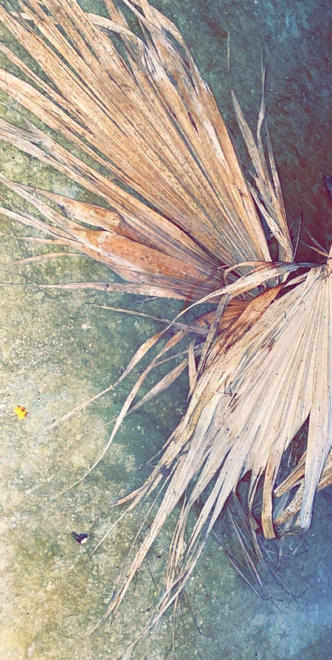 Leaked majestic4show header onlyfans leaked