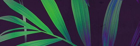 Leaked makemewet header onlyfans leaked